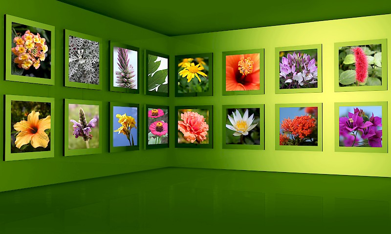 Green gallery