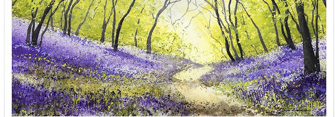 Bluebells